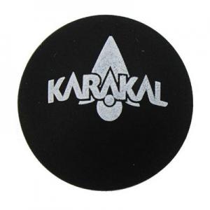 哪几个壁球品牌好？十大壁球品牌推荐