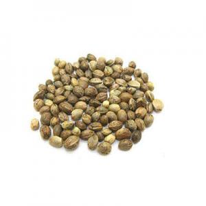火麻子有哪些牌子？十大火麻子品牌推荐