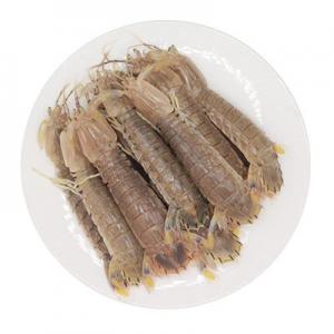 皮皮虾有哪些牌子？皮皮虾品牌排行榜前十