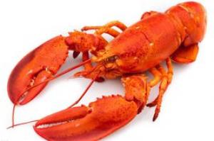 大龙虾哪个品牌最好？大龙虾品牌排行榜前十