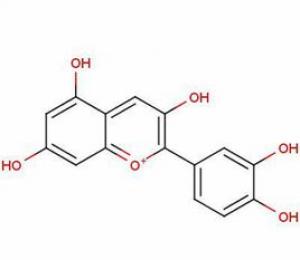 花青素有哪些牌子？品牌花青素推荐
