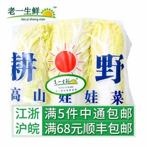 娃娃菜哪个品牌最好？品牌娃娃菜推荐