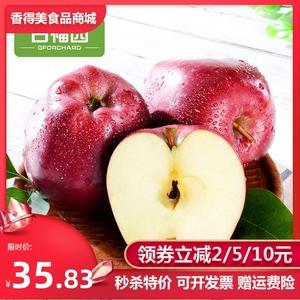 蛇果有哪些牌子？十大蛇果品牌推荐