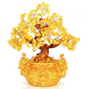 哪几个摇钱树品牌好？摇钱树品牌排行榜前十