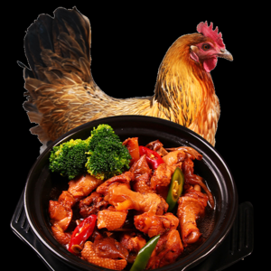 土鸡有哪些牌子？品牌土鸡推荐
