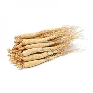 白参哪个品牌好？白参品牌排行榜前十