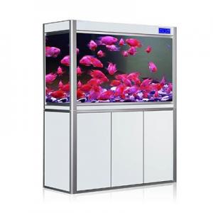 水族箱哪个品牌好？水族箱品牌排行榜前十