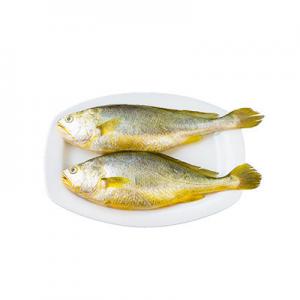 海水鱼哪个品牌好？品牌海水鱼推荐