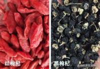 黑枸杞和红枸杞的作用有什么不同？黑枸杞怎么辨别真假？