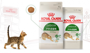 什么牌子的猫粮又便宜又好？又便宜又好的猫粮排行榜10强