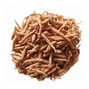 哪几个孩儿参品牌好？品牌孩儿参推荐