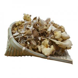 黄金菇有哪些牌子？黄金菇品牌排行榜前十