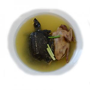 鸽子汤有哪些牌子？十大鸽子汤品牌推荐