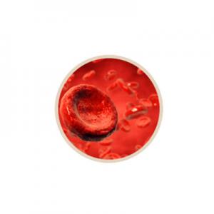 鹿茸血哪个品牌好？鹿茸血品牌排行榜前十