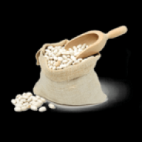 2026种子十大品牌排行榜