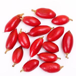 2026神秘果十大品牌排行榜