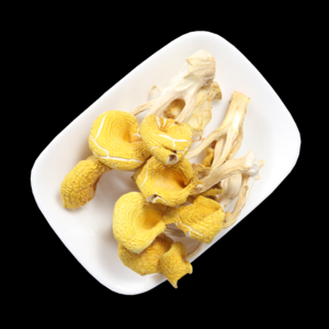 2026鸡油菌十大品牌排行榜