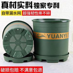 2026盆栽植物十大品牌排行榜