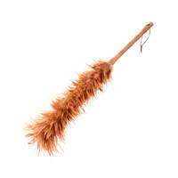 2026鸡毛掸子十大品牌排行榜