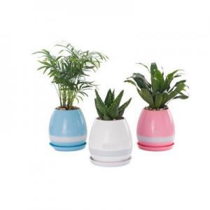2026花卉灯十大品牌排行榜