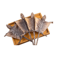 2026蛤蚧十大品牌排行榜