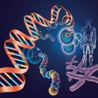 2024基因检测十大品牌排行榜