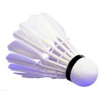 2026羽毛球十大品牌排行榜