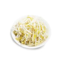 2026豆芽菜十大品牌排行榜