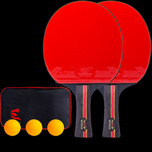 2024乒乓拍十大品牌排行榜