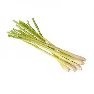 2026柠檬草十大品牌排行榜