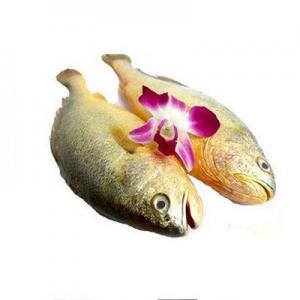 2026黄花鱼十大品牌排行榜