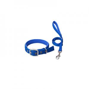 2026宠物带十大品牌排行榜