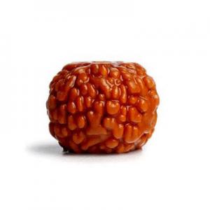 2026金刚菩提十大品牌排行榜