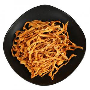 2026北虫草十大品牌排行榜