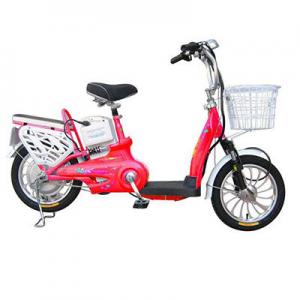 2026电瓶车十大品牌排行榜