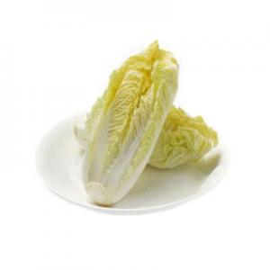 2026娃娃菜十大品牌排行榜