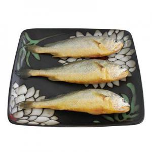 2026小黄鱼十大品牌排行榜