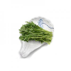 2026芝麻菜十大品牌排行榜