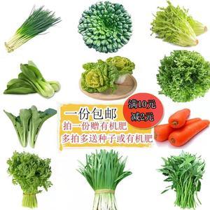 2026蔬菜种子十大品牌排行榜