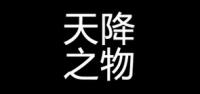天降之物