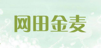 网田金麦