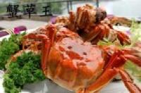蟹草王