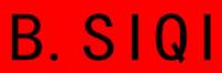 B.SIQI