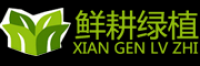 鲜耕