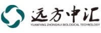 远方中汇