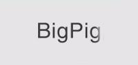 BIGPIG