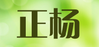 正杨