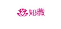 知薇
