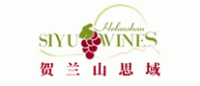 思域SIYU