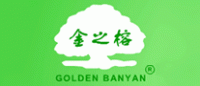 金之榕GOLDENBANYAN